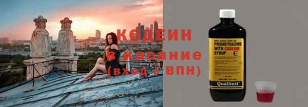 spice Пионерский