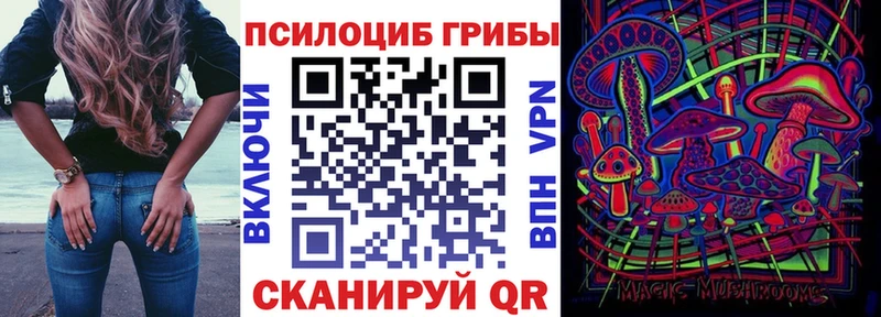 KRAKEN вход  Тимашёвск  Псилоцибиновые грибы Cubensis 
